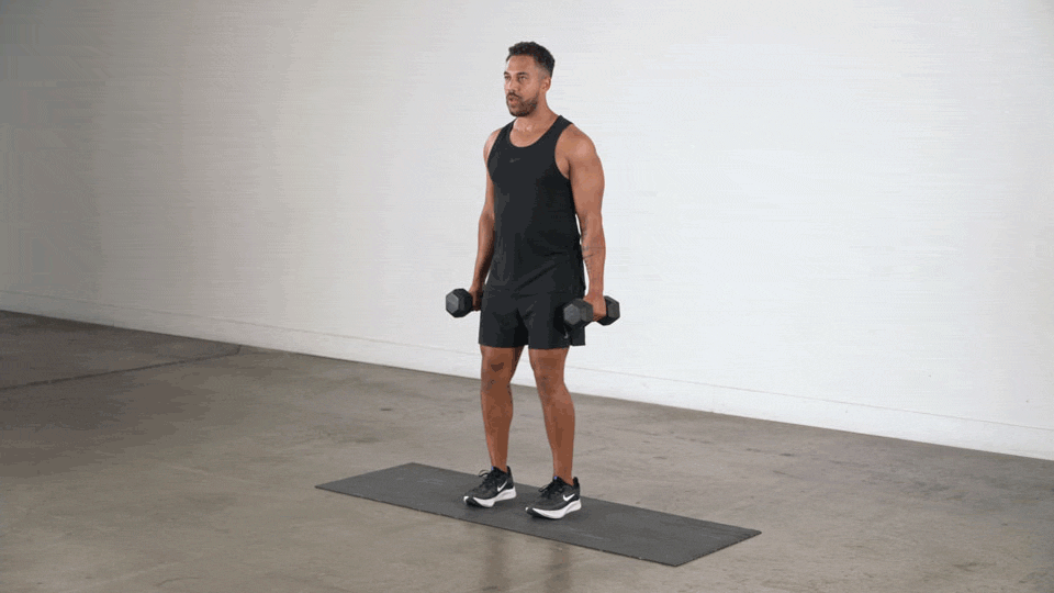 DB Bicep Curl