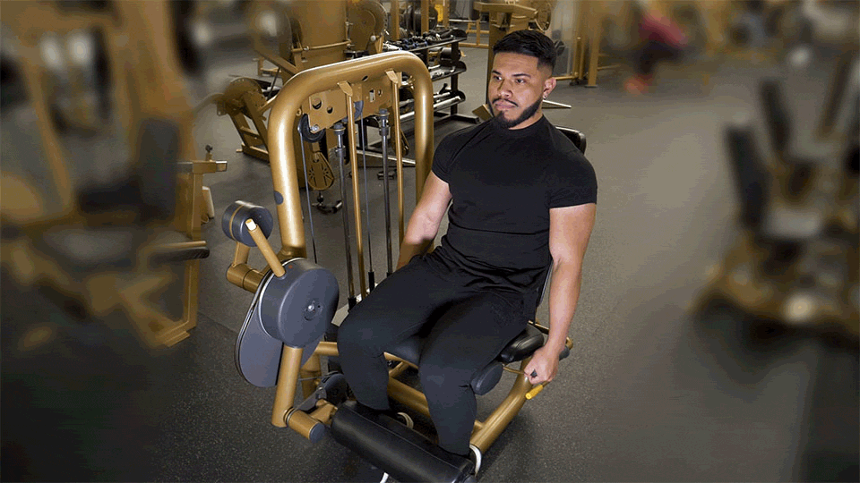 Leg Extension
