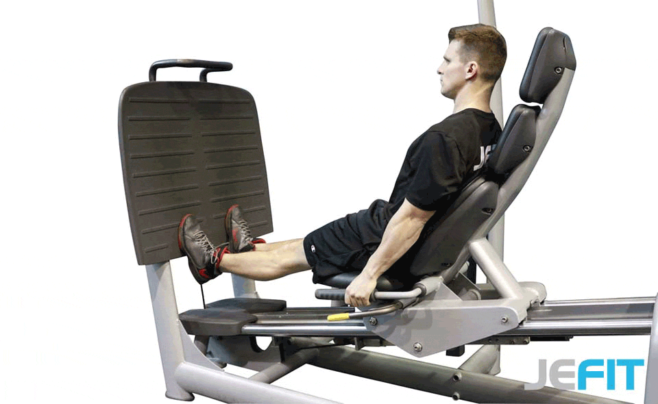 Leg Press Calf Raise