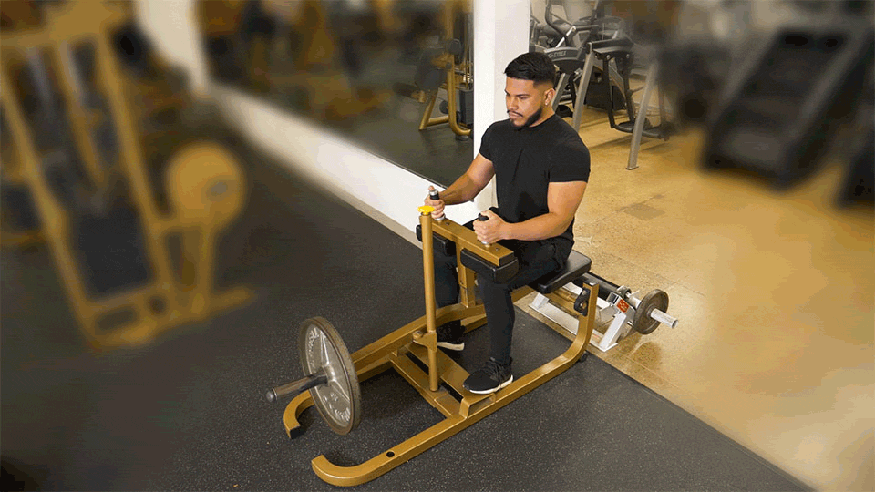 Seated Calf Raise