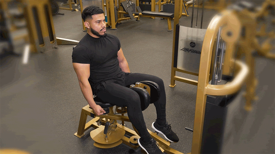Adductor Machine