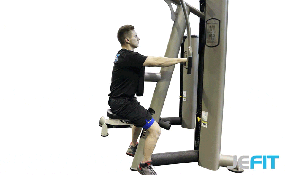 Rear Delt Machine Fly